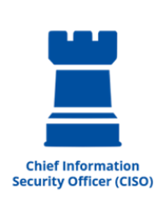 Director de Seguridad de la Información