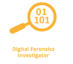 Investigador Forense Digital