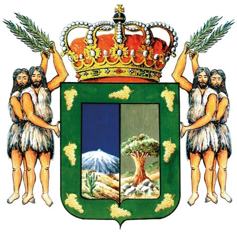 Ayuntamiento de Icod de los vinos
